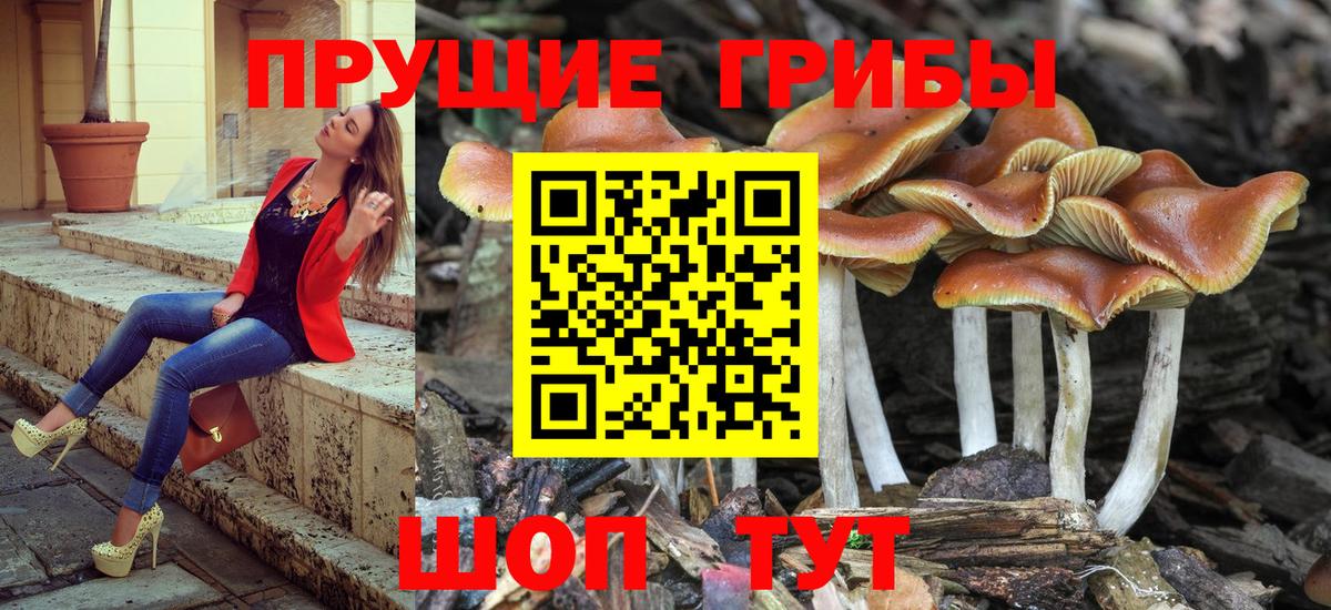 Галлюциногенные грибы MAGIC MUSHROOMS  Псилоцибиновые грибы MAGIC MUSHROOMS  Октябрьский  Вход с VPN 