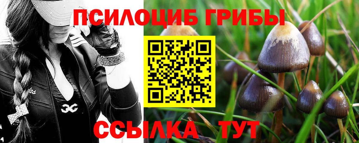 Галлюциногенные грибы ЛСД Октябрьский